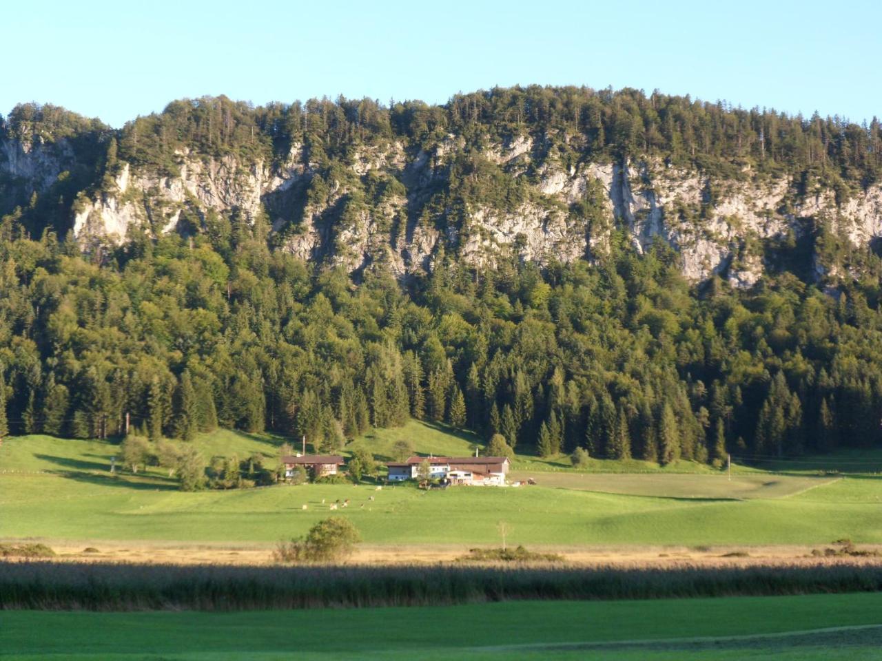 Hotel Pfandlhof Walchsee Exterior foto